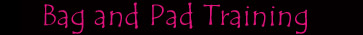 bag and pad
